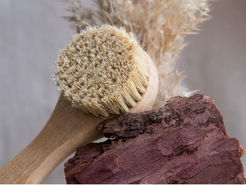 5 Important Factors to Consider When Choosing Animal Grooming Brushes